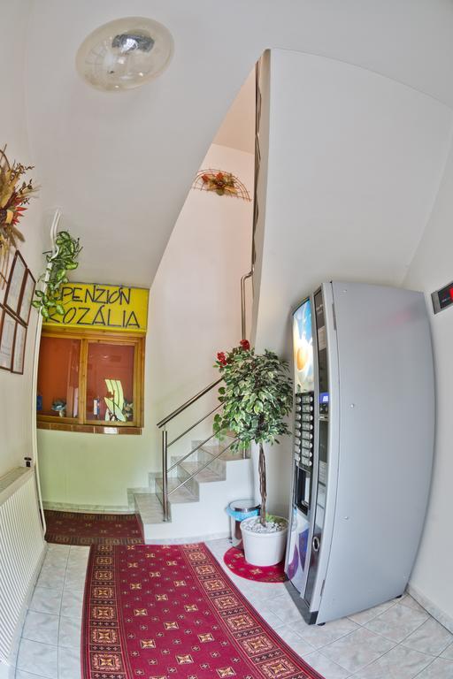 Penzión Rozália Košice Exterior foto